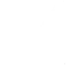 VinFast